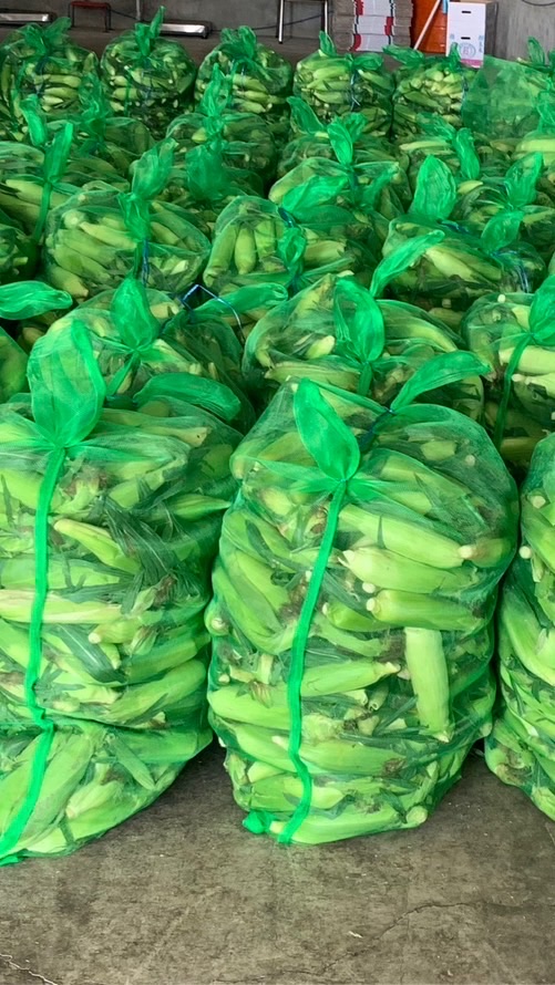 佑青農產玉米玉米筍批發（高雄區）