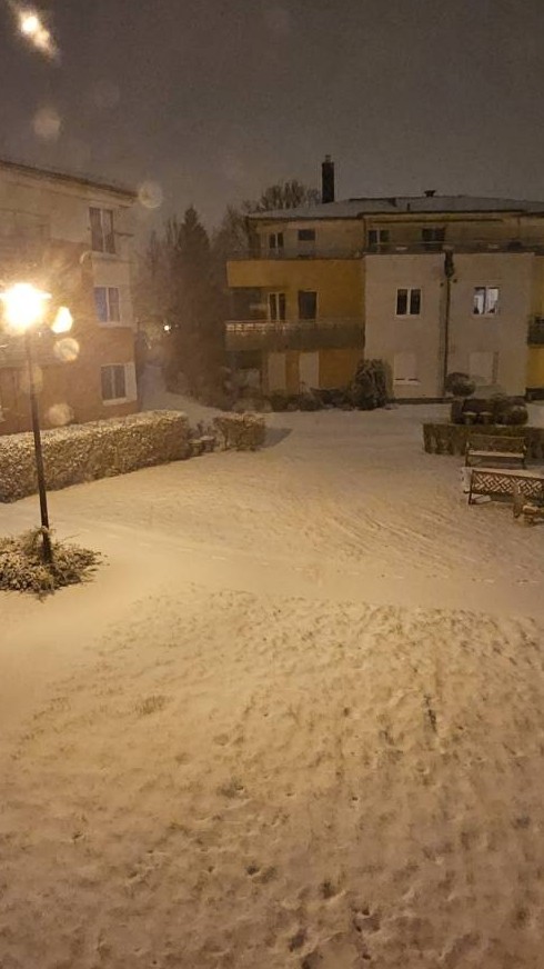 2026春季班活動組小組長