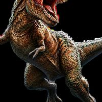 第2回SHOUKEI勝山JURASSIC CUP