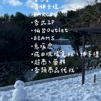 日本🇯🇵 東京代購2/4快閃✈️
