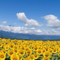 直江津支部青年部