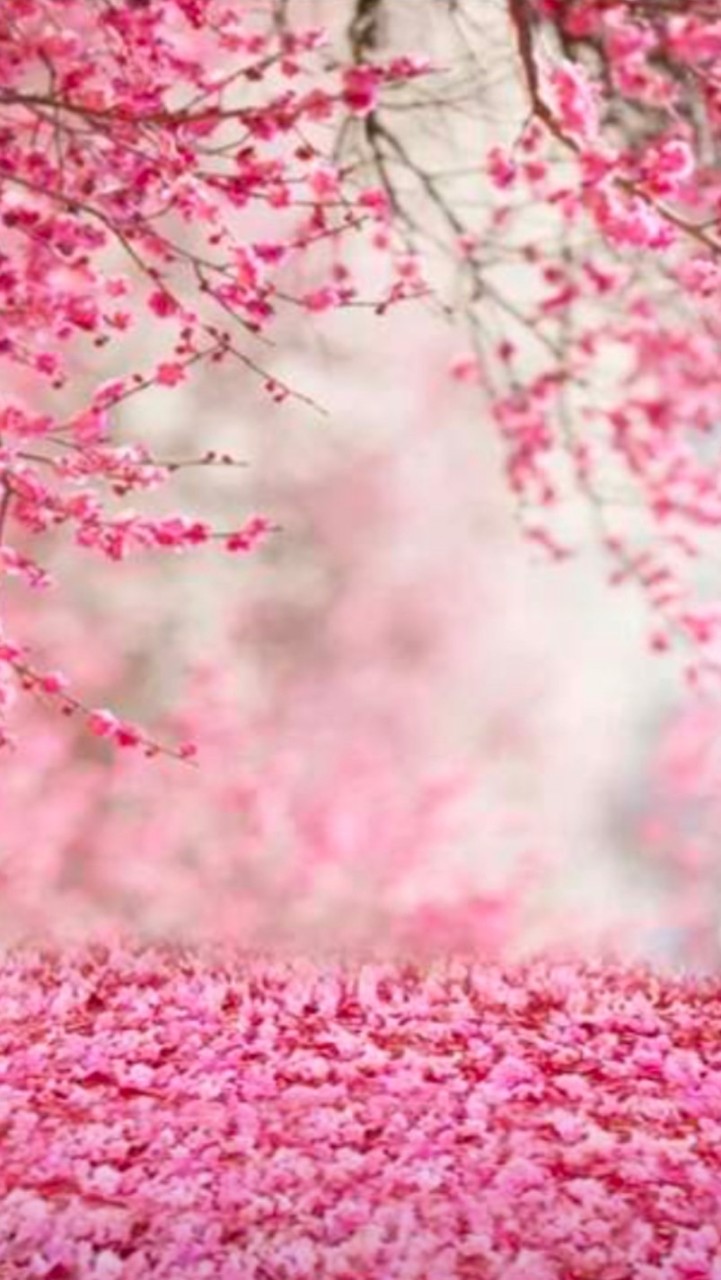 3/13🌸卒業式前日準備チーム🌸