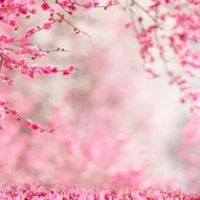 3/13🌸卒業式前日準備チーム🌸