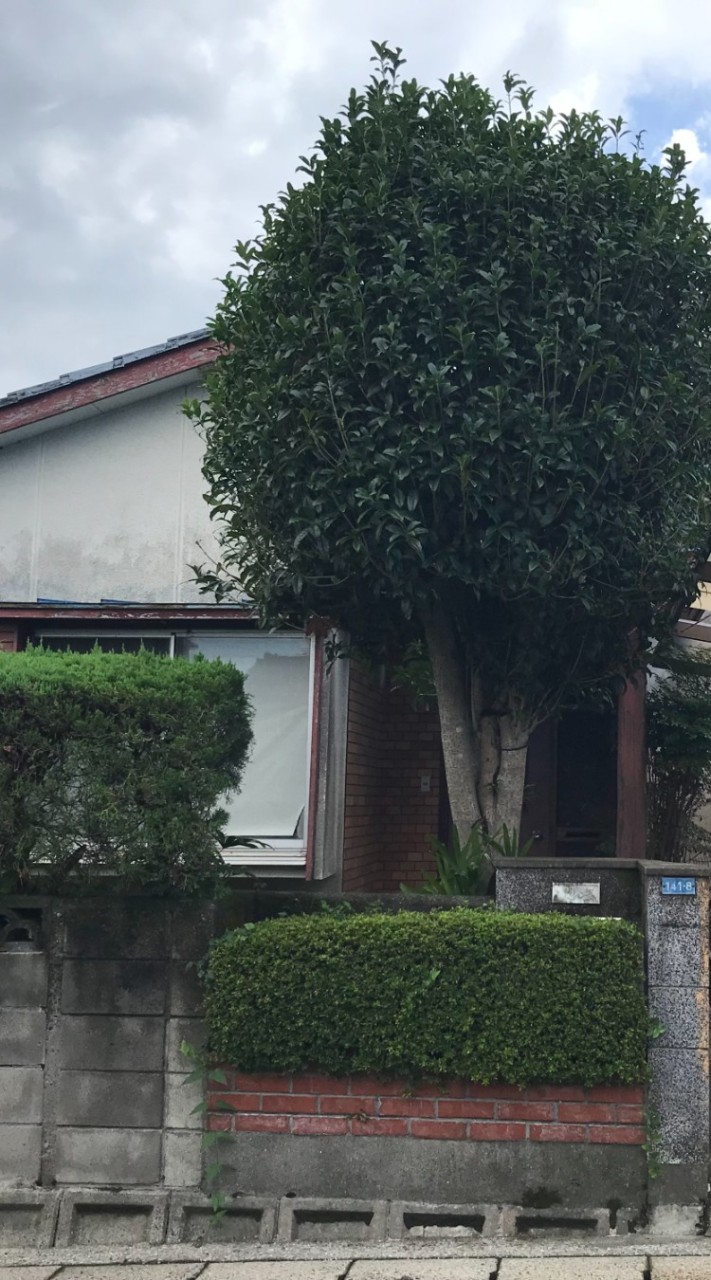 かなえるHOUSE #鹿児島市魚見町
