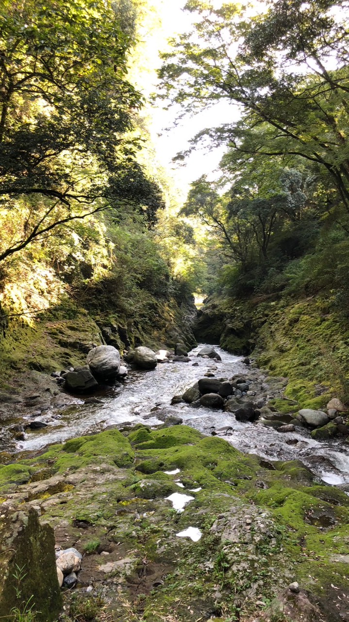神奈川20区🇯🇵ゆうこく連合