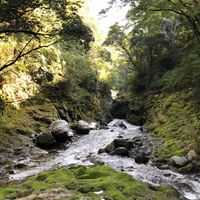 神奈川20区🇯🇵ゆうこく連合