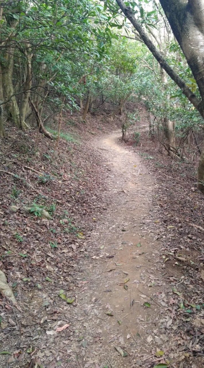 圓一座山