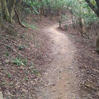 圓一座山