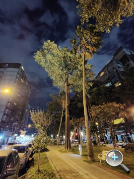 IMG20200314201151.jpg IMG20200314201151.jpg