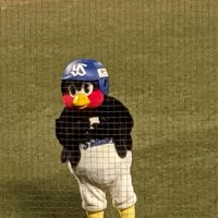 ヤクルトスワローズファンの園