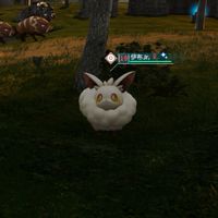 Craftopia始世樂土兼Palworld幻獸帕魯討論區