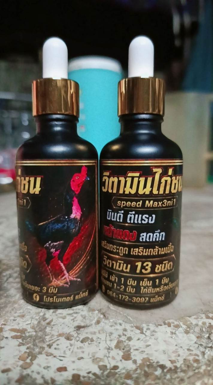 วิตามิน ไก่ชน
