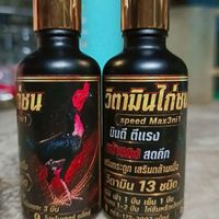 วิตามิน ไก่ชน