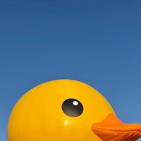 大分県の小・中・高学生集まれ❗️