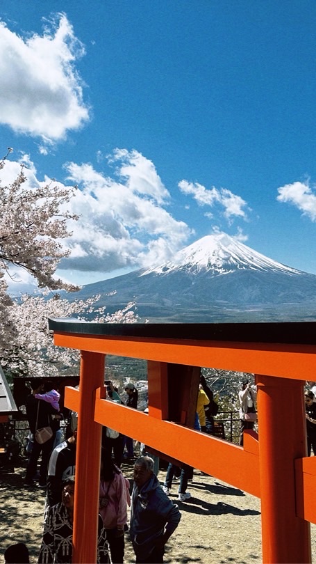 柚趣旅行｜國內外旅遊行程｜找到了旅行社