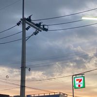 ‘ ธารดาราวิทยาลัย ’ | Genshin impact, Honkai