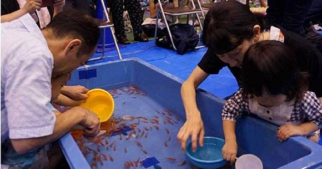 撈金魚也能上大學！櫻花妹苦練7年獨門絕技　爽拿入學門票