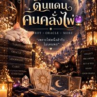 ดินแดนคนคลั่งไพ่ 🔮