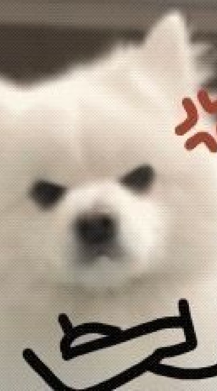 ไอเลิฟยู(ผมไม่รู้จักใครผมบล็อกออก)