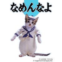 古文教え合おう！