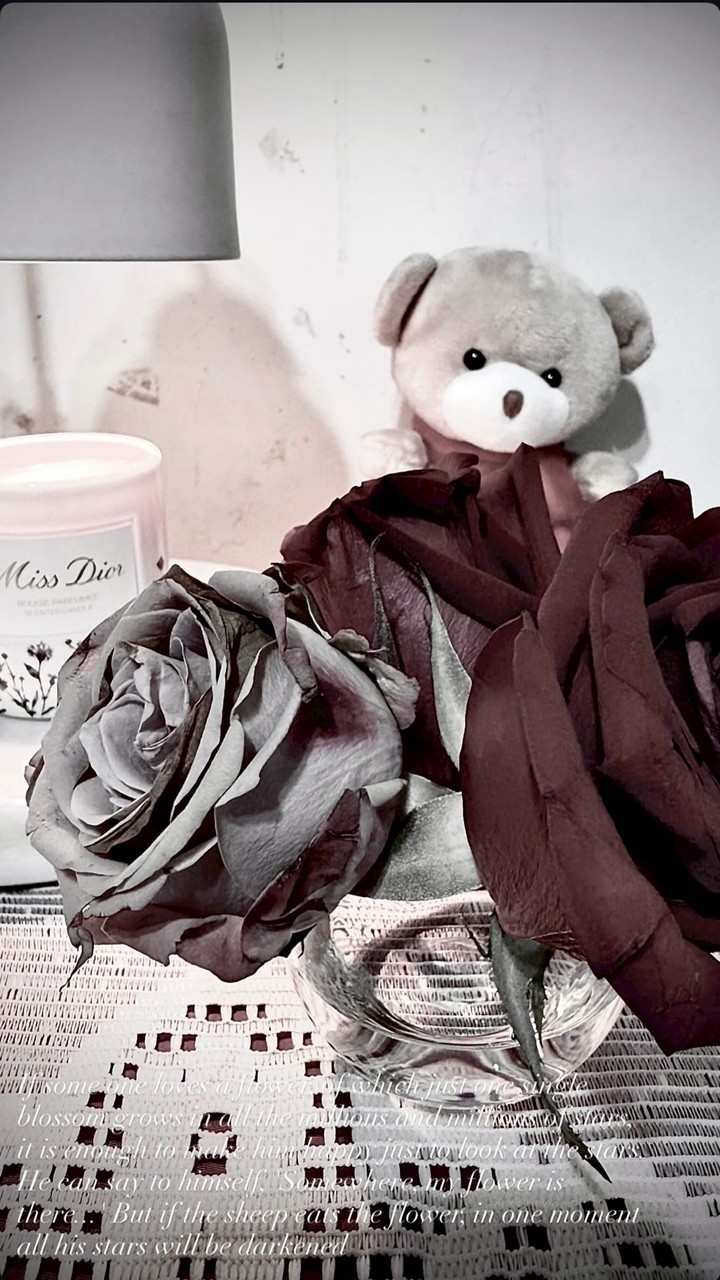 微笑幸運草☘️免費塔羅占卜🔮