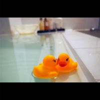 お風呂屋さん情報共有