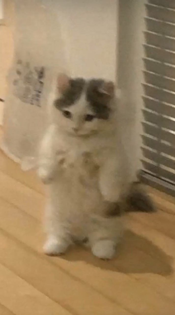 雑談したいよ