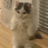 雑談したいよ