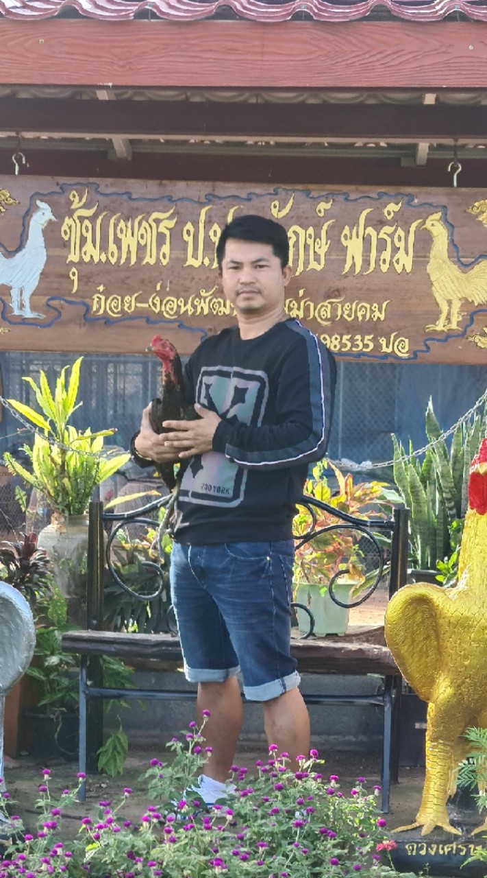 ซุ้มเพชร ป.ประจักษ์ฟาร์ม