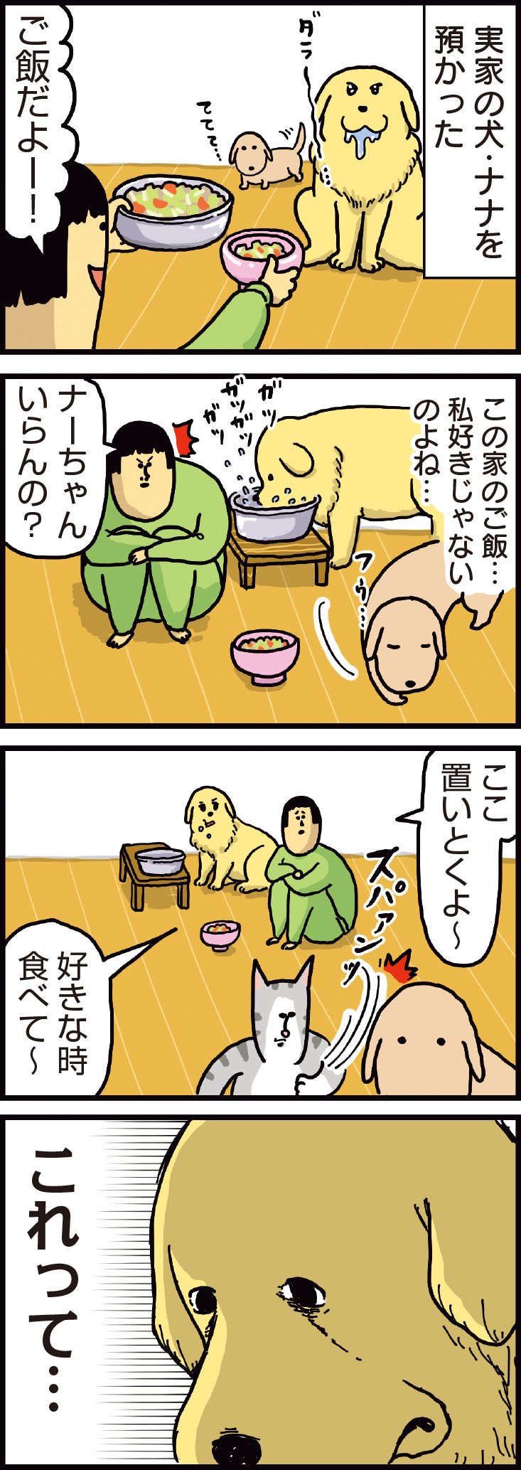 食べることへの情熱がすごい犬 まめきちまめこニートの日常 こまちとタビ 2