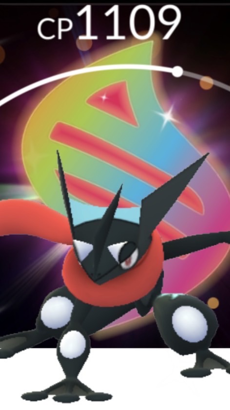 ポケモン民