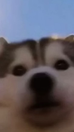 兄弟不互扁