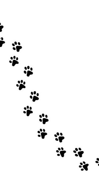 Big Dog Lover in Field Dogs Garden  2023.11.18前泊