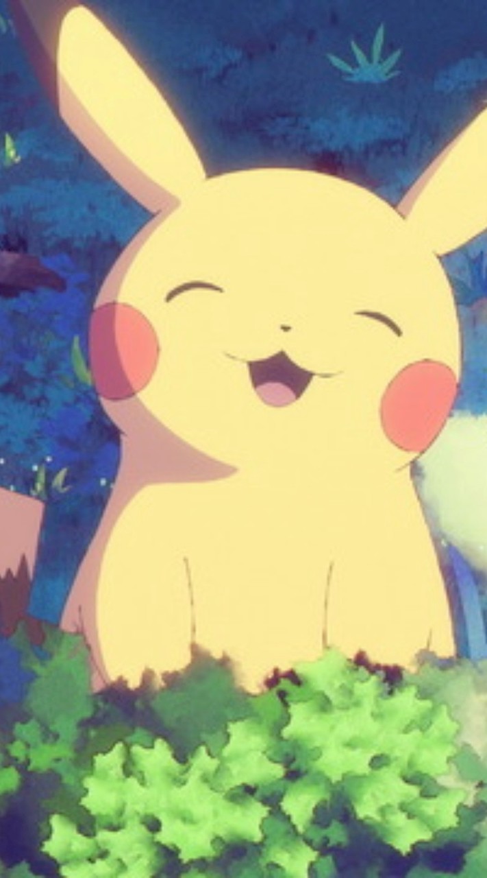 今日もポケモン日和