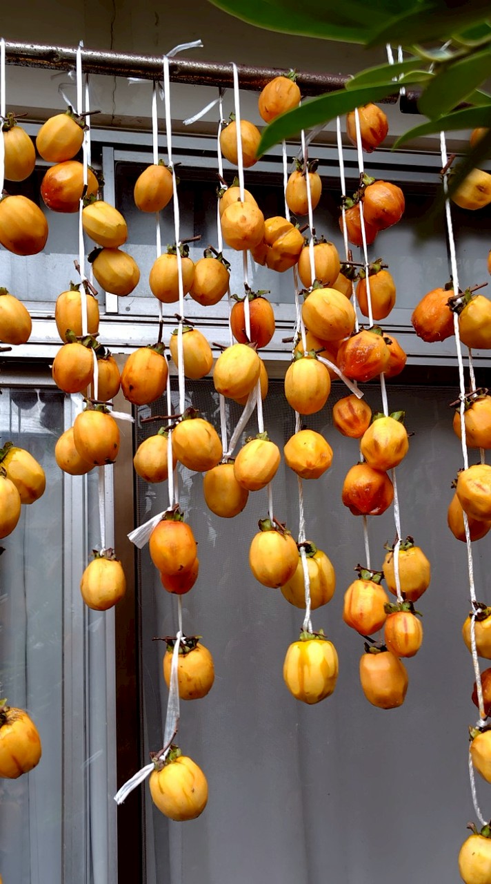 家庭菜園&ガーデニングされている方！