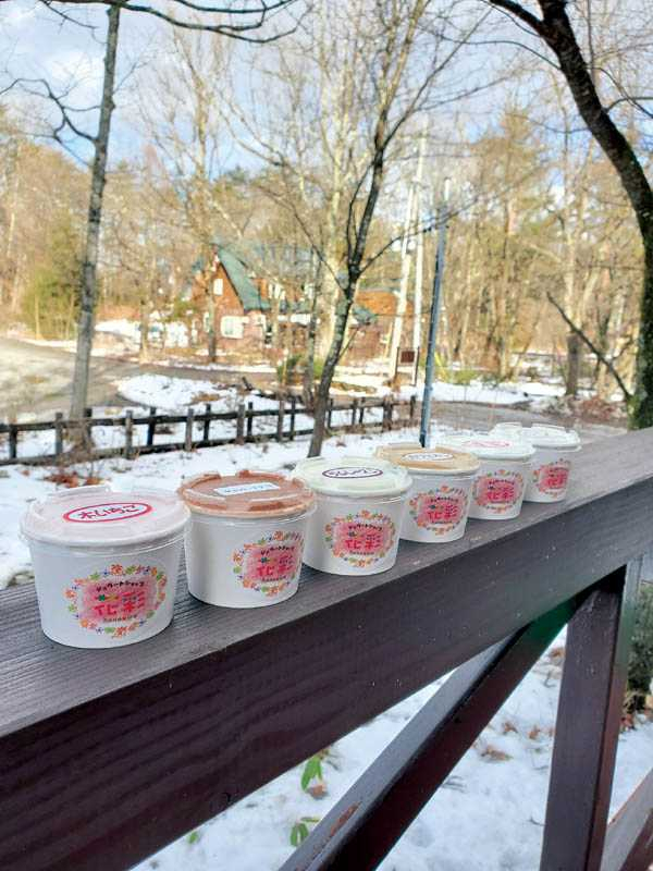 夏語心大推白馬村著名的手工冰淇淋，天氣再冷也要吃。（圖／夏語心經紀人提供）