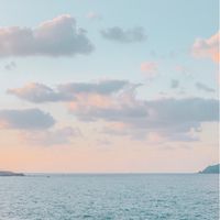 蔘玖叭叭.