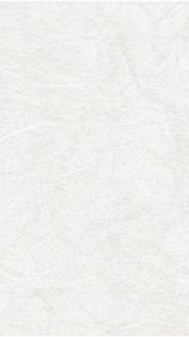 รับ-ส่งหนังสือราชการ รร.บ้านคลองแงะ