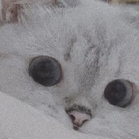 七愛社群