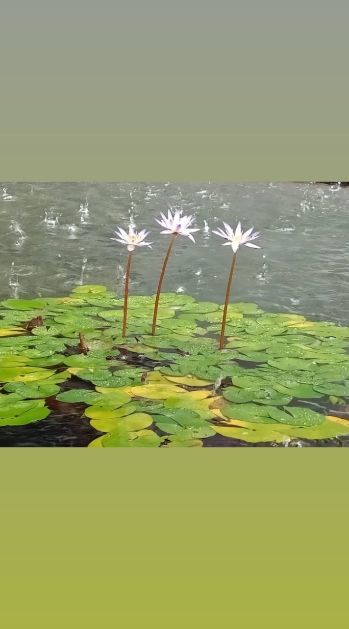 古佛朝聖之旅