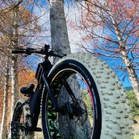 電輔單車⚡自由行🚴