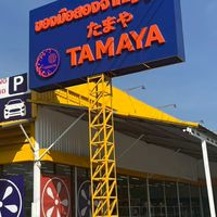 TAMAYA Hathairat