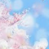 🎀全国雑談🎀ニコニコroom•*¨*•.¸¸♬︎