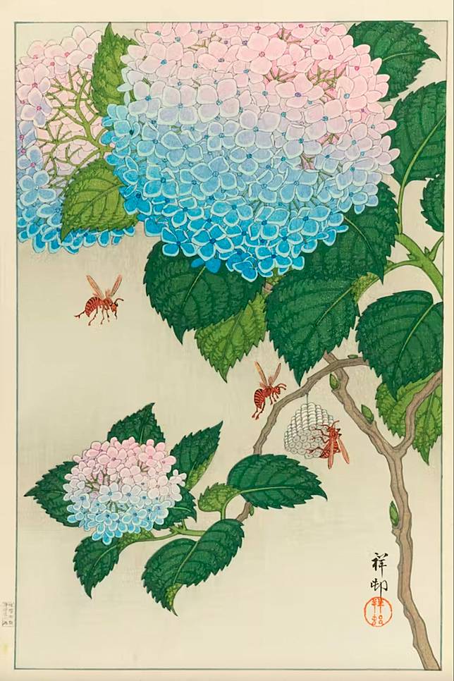 ン 大人気 新品 ノ 日本画⑩ 紫陽花 絵画