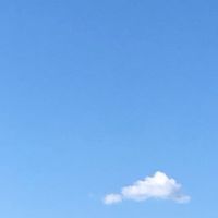 LINEスタンプクラブシニアの部
