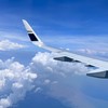 🌟星宇航空最Real討論區🌟