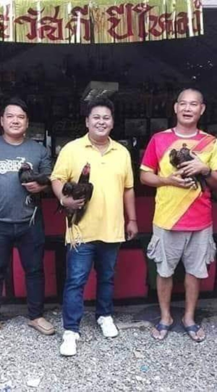 ซุ้ม แดนสยาม ฟาร์ม