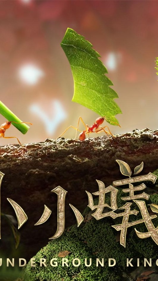 ⚜️《小小蟻國》華人交流二群
