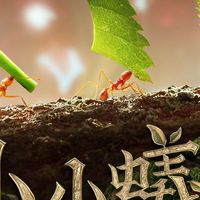⚜️《小小蟻國》華人交流二群