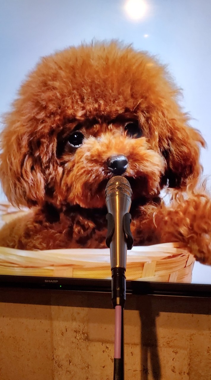 🎤カラオケ行きません？ver.2🎤宮城・仙台